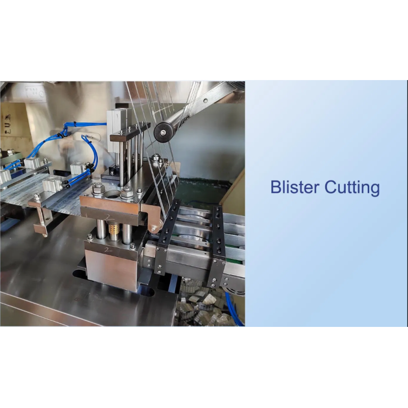 Steel High Speed Blister Packing Machine Tablets Capsule Pills Form Fill Seal Machine