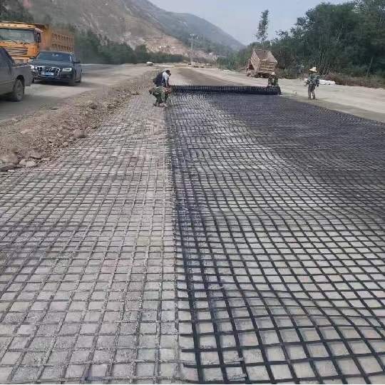 Steel Plastic Geogrid in with Acid Resistant and Base Reinforcement Function