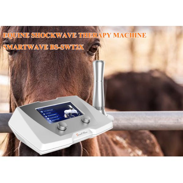 Medical Equine Shockwave Machine 10mj - 190mj Energy 320 * 225 * 126mm