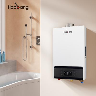 Chauffe-eau à gaz d'échappement forcé 220V avec logo imprimé sur écran de soie et haut rendement thermique ≥93%