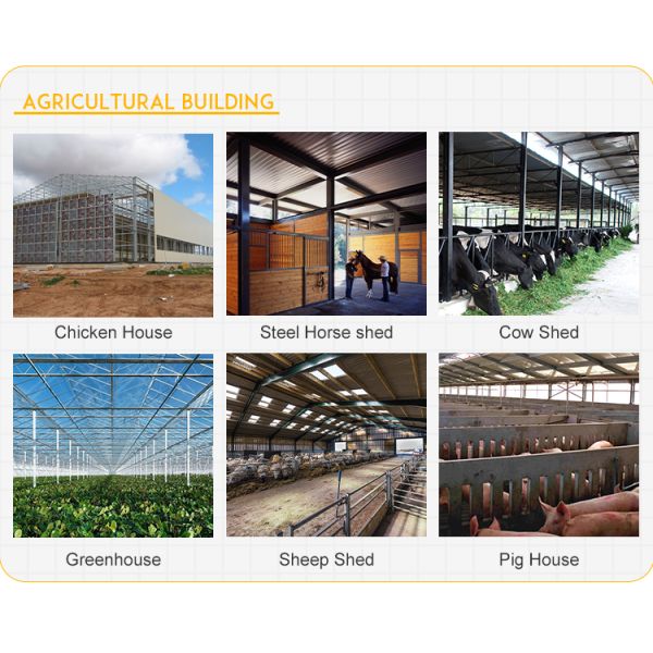 Общие Prefab дома железного каркаса связывают большую ферму сарая коровы Hall спорт космоса