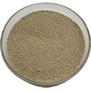 Lipase Enzyme
