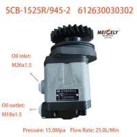 Hot Sale Steering Pump 612630030302 Fit For Qingdao FAW Shaanxi Beiben