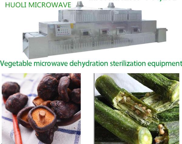 High Speed Microwave Drying Equipment for Potato Chips Food Processing Dryer