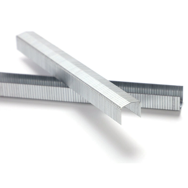 ISO Standard Air Staple Stcr5019 Серия 20 Размер 11,60 мм Корона 10 мм Мебельная сцепка
