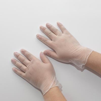 Medical Grade PVC Disposable Protective Gloves For Salon / Hair Cut Use