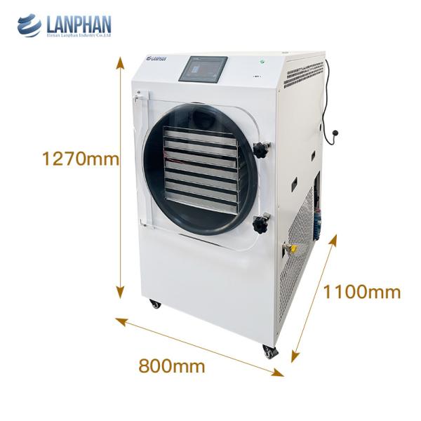 Home Food Freeze Dryer 7 Trays 2.5m2 Large Size Vacuum Home Freeze Dryer with Oil Pump