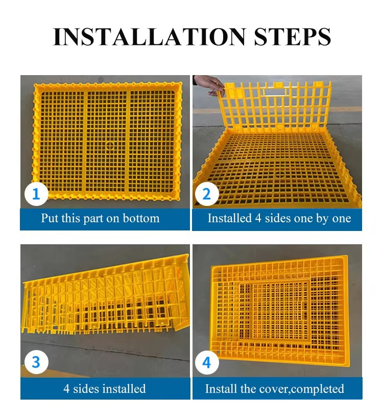 Heavy Duty Plastic Poultry Transport Crate Customizable Colors Sizes For Secure Delivery