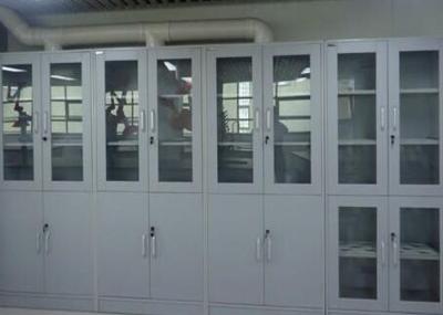 Custom Large Laboratory Storage Cabinets With Aluminum Alloy Handle