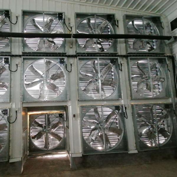 OEM標準家禽屋 滑り窓付き鋼筋構造