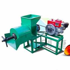 Palm oil pressing machine