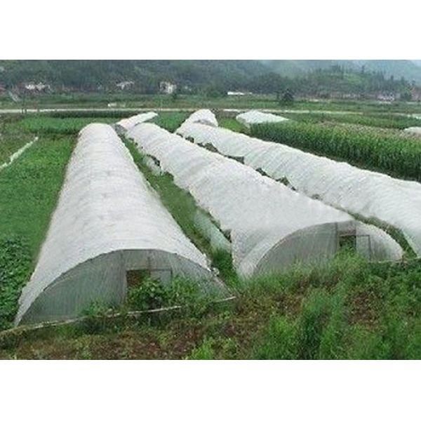 Shading , Reduce to Water Evaporation PP Nonwoven for Agricultural