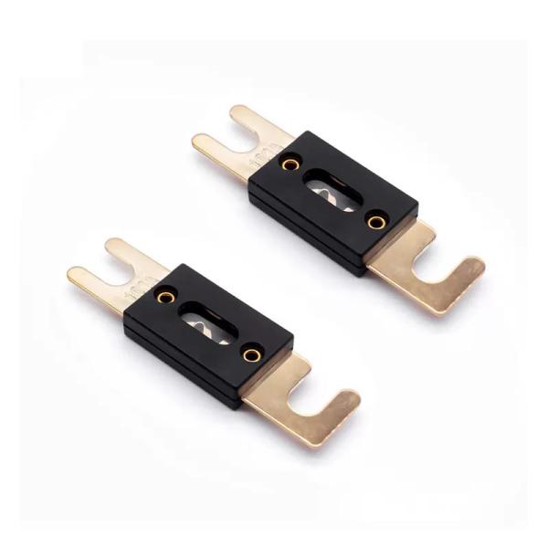 Gold Plate ANL Stud Mount Bolt Down Fuse 100A 125A 150A 200A 250A 300A 350A 400A 450A 500A For Automotive Marine Car Audio Video