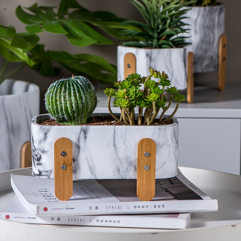 Мраморизовать текстурирует баки завода цемента вокруг плантаторов бака Succulents цветочных горшков с баками бамбуковой ноги мини