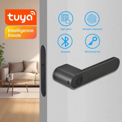 Apartamento Smart Impressão digital Fechadura de porta Biométrica Inteligente Preta Aviação Alumínio