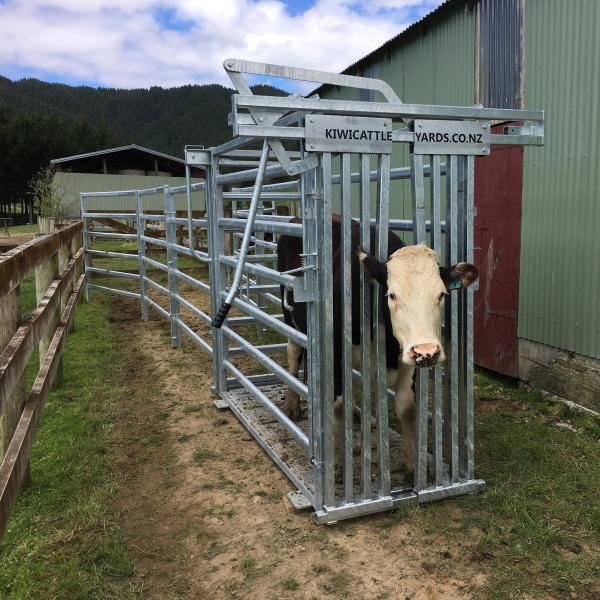 Customized Galvanized Steel Heave Duty Cattle Crush Easy Assembly