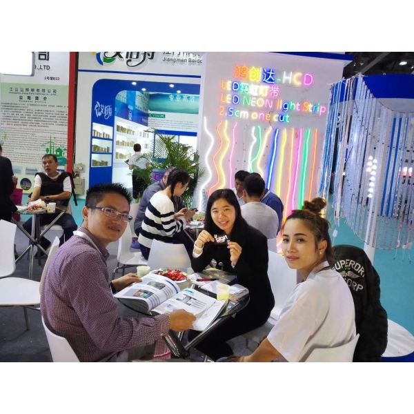 Трубка веревочки СИД неоновых прокладок силикона СИД 10W/M огнезащитная анти- треская неоновая