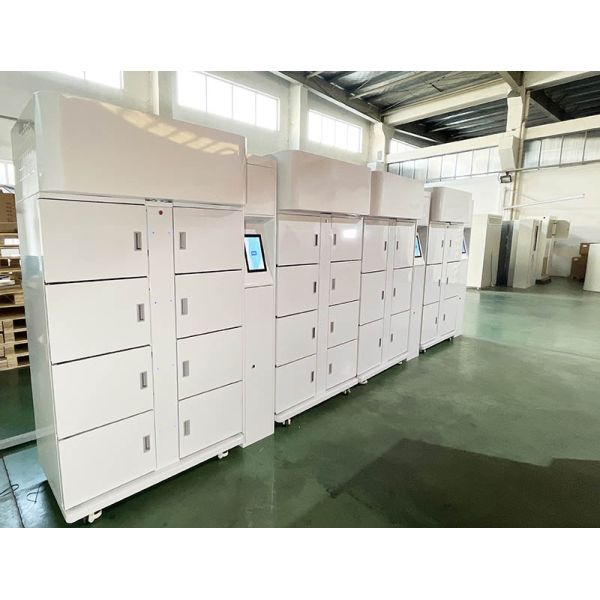 Hot Selling Grid Flowers Vending Machine Egg Vending Locker With Cooling System For Hotel Shopping Mall Hospital