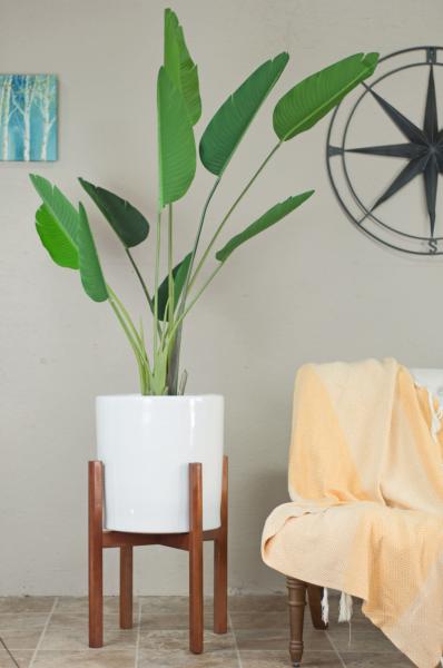 Potes de plantas de flores de fibra de vidro personalizados para plantas de interior
