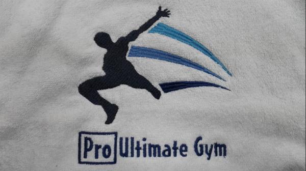 100pcs custom embroidery logo sport/gym/golf hand towel face towel