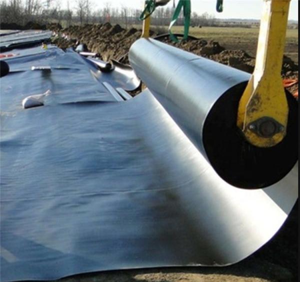 Smooth Surface HDPE/LDPE Geomembrane for Fish Pond Liner Design Style Contemporary