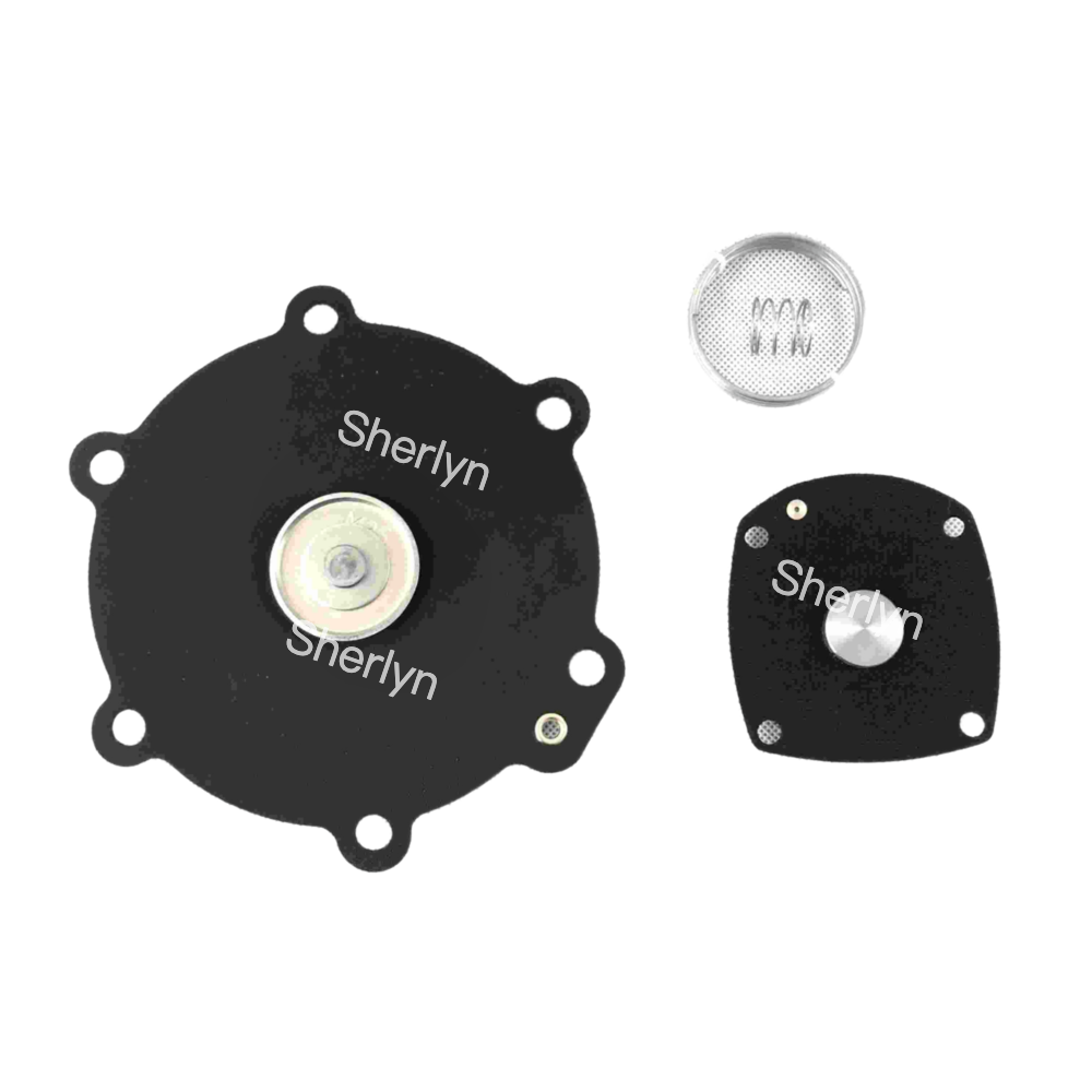 M50 Diaphragm Repair Kit Turbo 2