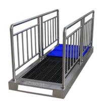 Equipamento de salas limpas Lavar solas de calçado Máquinas de limpeza para semicondutores