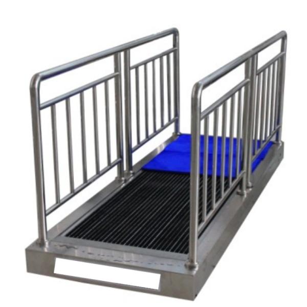 Equipamento de salas limpas Lavar solas de calçado Máquinas de limpeza para semicondutores