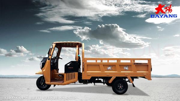 Triciclos de 250cc: a solução definitiva para as necessidades de comércio e transporte