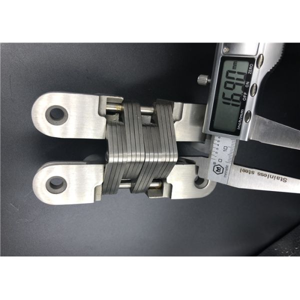 Высокими сензорными невидимыми ворота скрытые шарнирами прикрепляют на петлях толщину нержавеющей стали 35мм