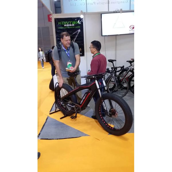 700C Electric Bicycle 26 inch Elderly Side Retrieval Electric Vehicle with Hidden Battery