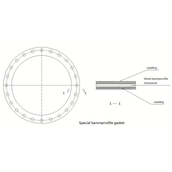 60inch Size 100mpa High Pressure Steam Use O RING Gasket / Camprofile Gasket