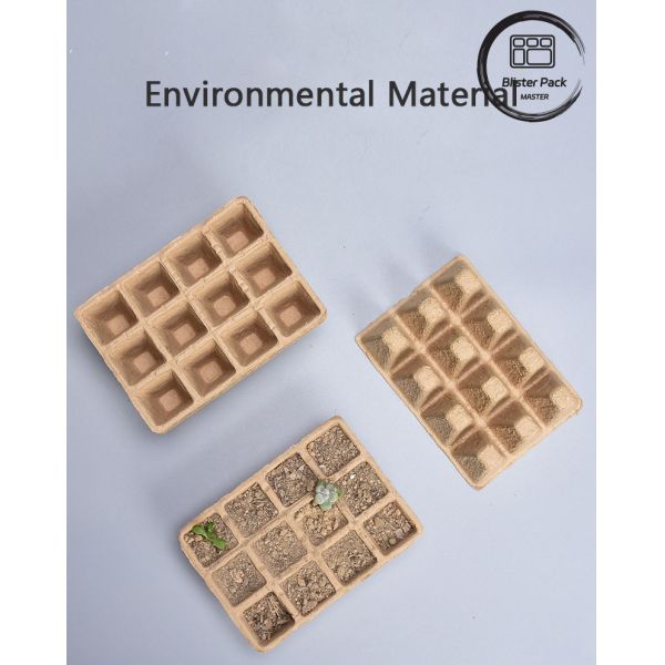 10 & 12 Caixas de arranque de sementes biodegradáveis para um crescimento eficiente das plantas de viveiro