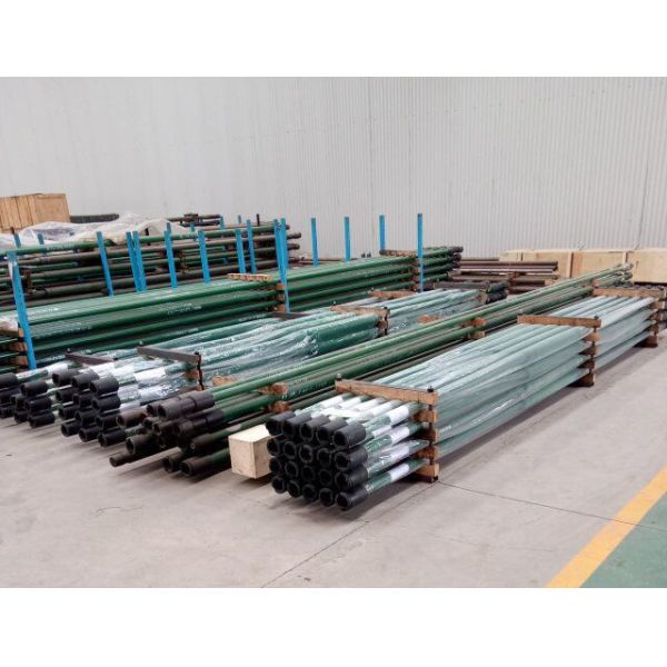 L'anti Downhole de tuyauterie de corrosion pompe avec le plongeur nickelé