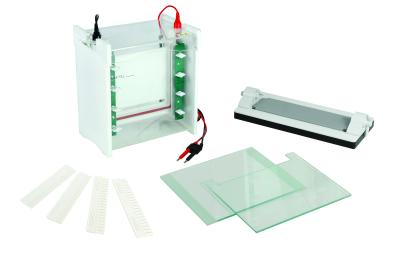 Vertical Protein Gel Electrophoresis Apparatus Mini-protean Electrophoresis Cell Jy-scz6+