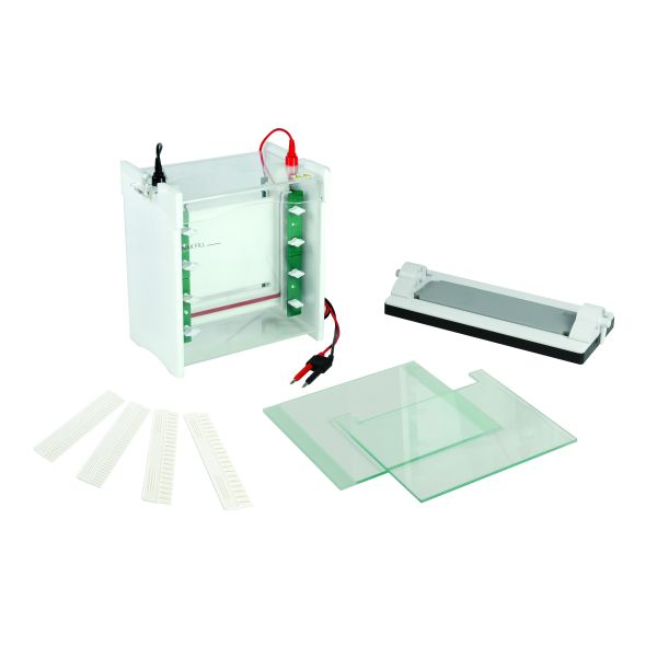 Lab Use Polyacrylamide Gel Electrophoresis Apparatus Mini Protean Electrophoresis Cell Jy-scz6+