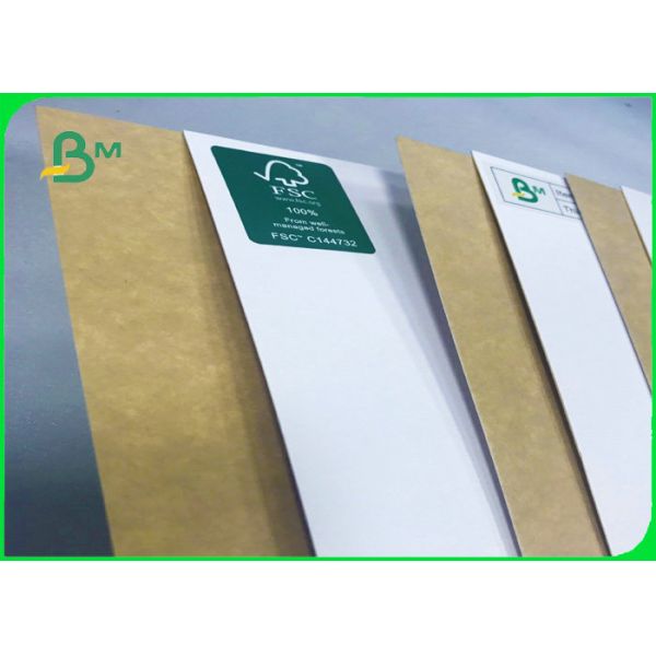 100% Safe 250gsm 325gsm Coated Kraft Paper Board For Dry Food Packaging