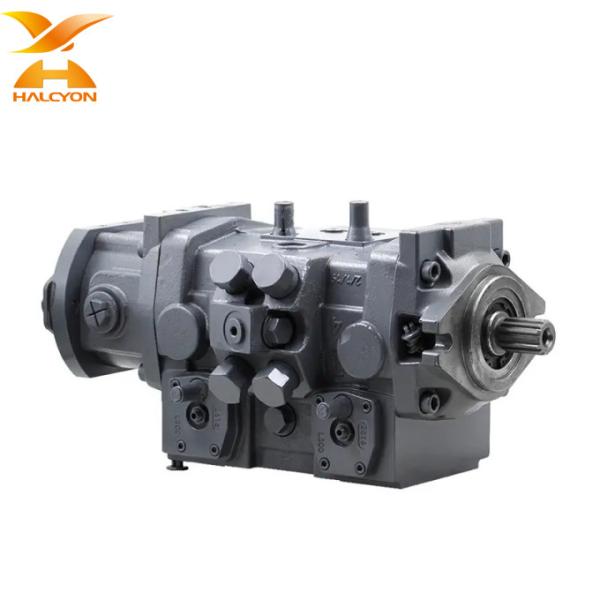 Germany Axial Piston Variable Double Pump A20VG045 A22VG045 Hydraulic Pump A20VG A22VG Full Series Hydraulic Piston Pump