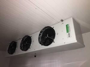 220V / promenade 380V commerciale dans une chambre plus froide pour les fruits de mer végétaux de viande
