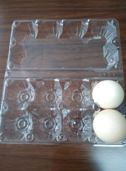 Clear transparent plastic tray for eggs