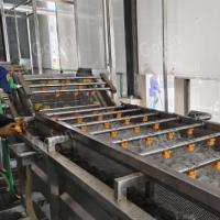 High-Yield Low-Consumption Apple Processing Line Original Berry Dried Production Line Customized Service