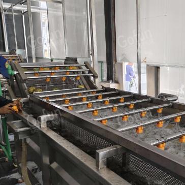 High-Yield Low-Consumption Apple Processing Line Original Berry Dried Production Line Customized Service