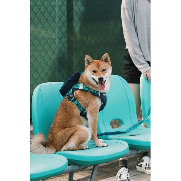 Pet Puppy Poodle Dog Harness Pack Vest Saddle Rucksack Leash For Large Dogs