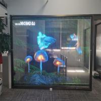 RGB Color P10 LED Transparente Film Screen Indoor H Flexível LED Display Screen