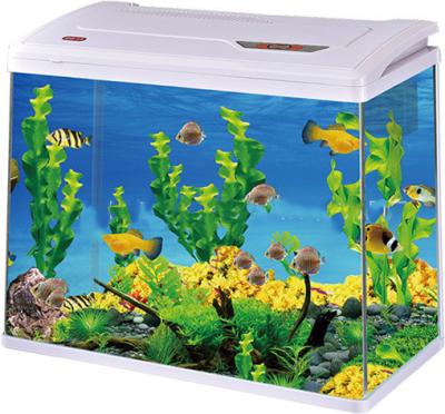 90L Office Bar Counter Aquarium Fish Tank Glass Custom Betta Decoration