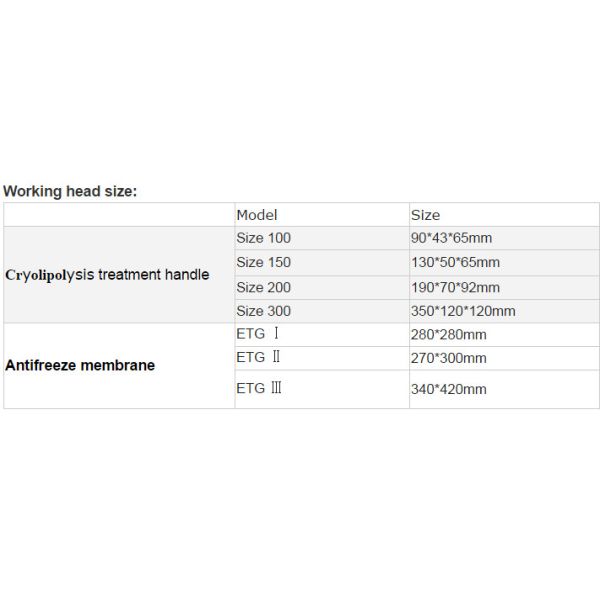 Fat Freeze Cryolipolysis Treatment For Body Slimming