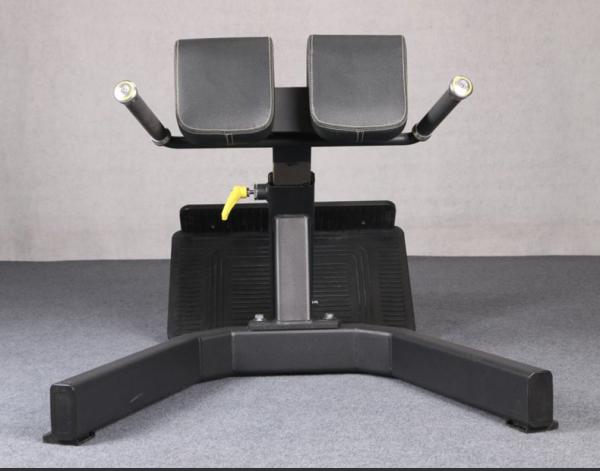 Salle de sport 45 degrés machine d'extension du dos chaise romaine banc de gym à vendre