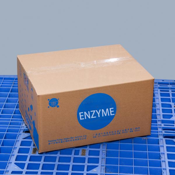 Alkaline Protease Powder 50000u/g-1500000u/g for Detergent & Feed