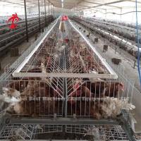 Cage d'élevage Ferme avicole Couveuse Matériel d'élevage Sandy