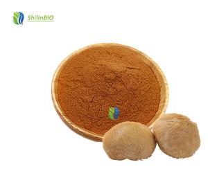 Best Price Hericium Erinaceus Powder Food Grade Bulk Lions Mane Powder Pure Lion
